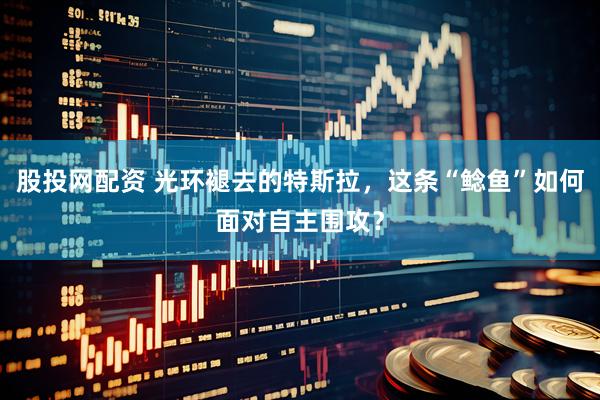 股投网配资 光环褪去的特斯拉，这条“鲶鱼”如何面对自主围攻？
