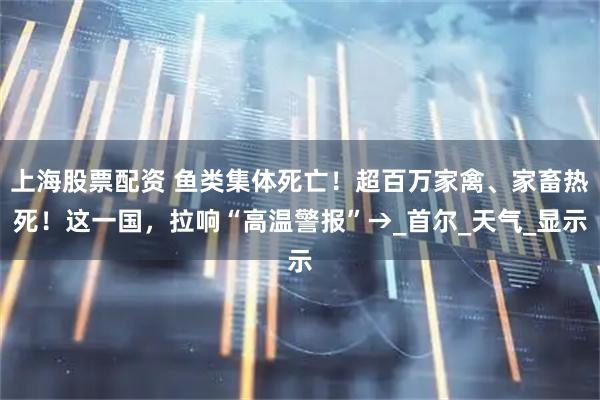 上海股票配资 鱼类集体死亡！超百万家禽、家畜热死！这一国，拉响“高温警报”→_首尔_天气_显示