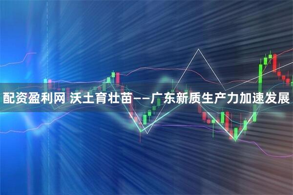 配资盈利网 沃土育壮苗——广东新质生产力加速发展