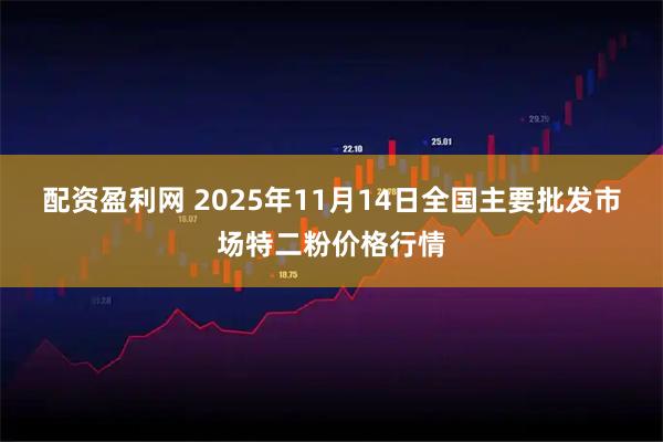 配资盈利网 2025年11月14日全国主要批发市场特二粉价格行情